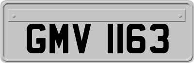GMV1163