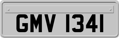 GMV1341