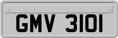 GMV3101