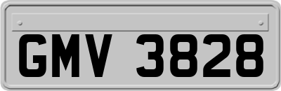 GMV3828