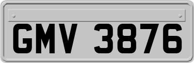 GMV3876