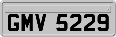 GMV5229
