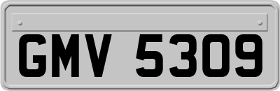 GMV5309