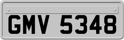 GMV5348