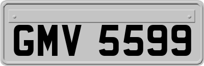 GMV5599
