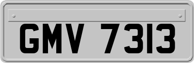 GMV7313