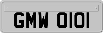 GMW0101
