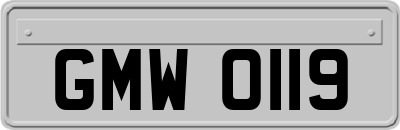 GMW0119
