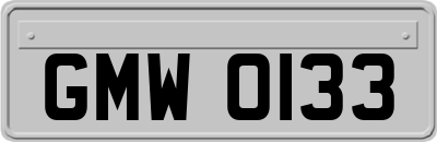 GMW0133