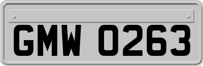 GMW0263