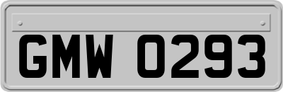GMW0293