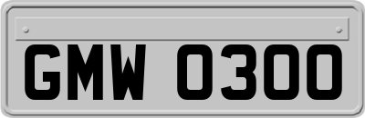 GMW0300