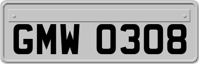 GMW0308