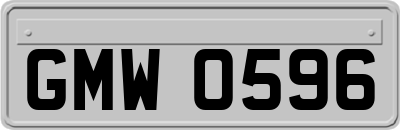GMW0596