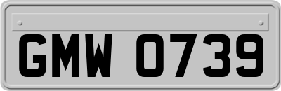 GMW0739