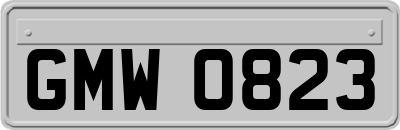 GMW0823