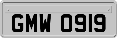 GMW0919