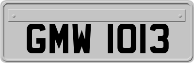 GMW1013