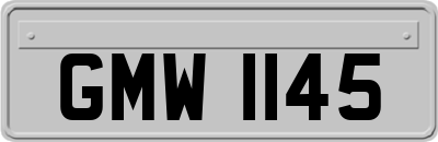 GMW1145