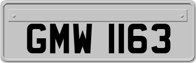 GMW1163