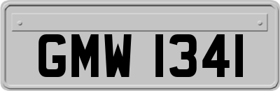 GMW1341