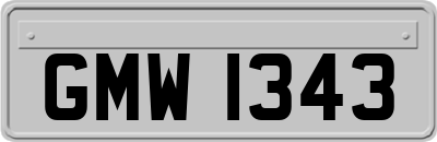 GMW1343