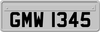GMW1345