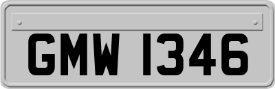 GMW1346