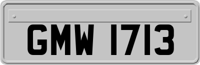 GMW1713