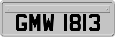 GMW1813