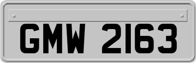 GMW2163