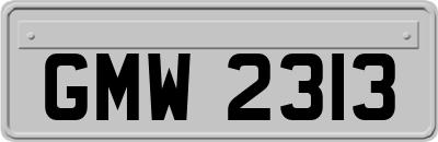 GMW2313