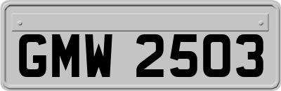 GMW2503