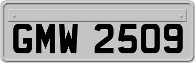 GMW2509