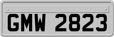 GMW2823