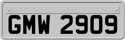 GMW2909