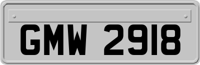 GMW2918