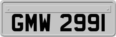 GMW2991