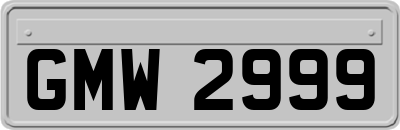 GMW2999