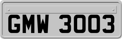 GMW3003