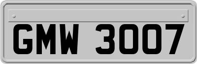 GMW3007