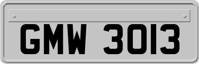 GMW3013