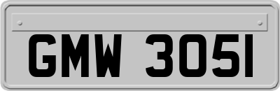 GMW3051