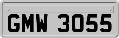 GMW3055