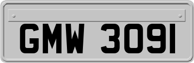 GMW3091