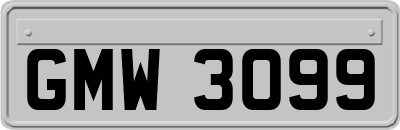 GMW3099