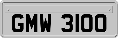 GMW3100