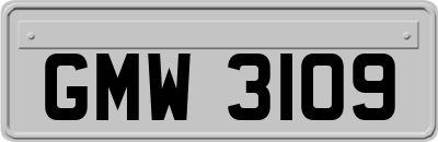 GMW3109