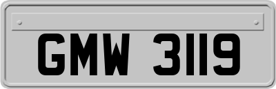 GMW3119