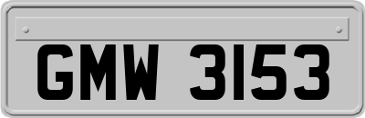GMW3153